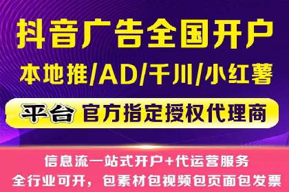 案例研究：信息流广告投放优化
